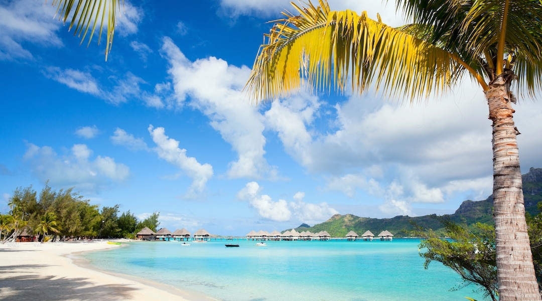 Bora Bora Experience