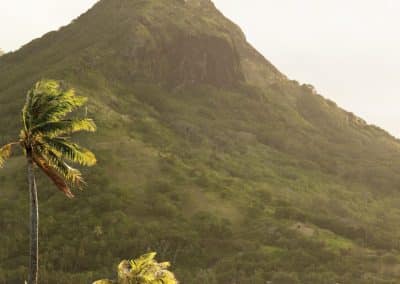 Private motu romantic dinner - Four Seasons Hotel Bora Bora